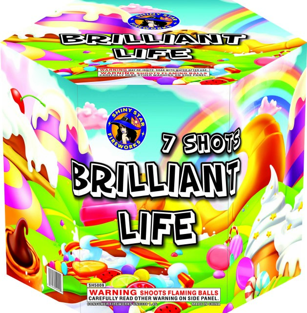 BRILLIANT LIFE