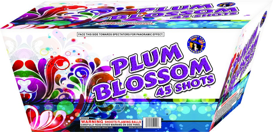 PLUM BLOSSOM