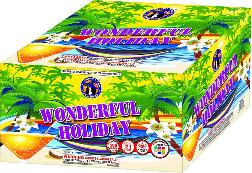 WONDERFUL HOLIDAY