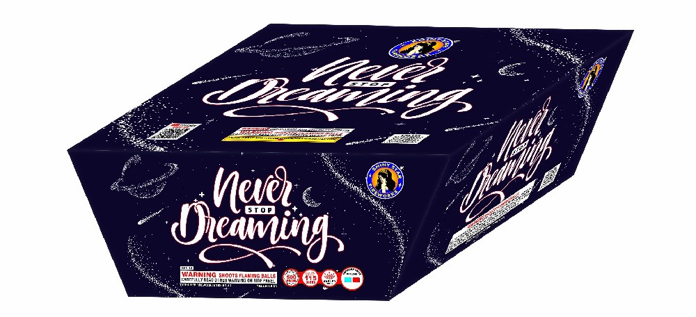 NEVER STOP DREAMING