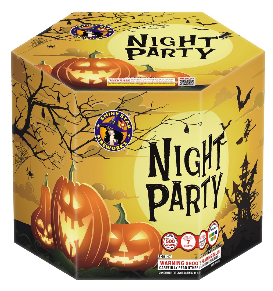 NIGHT PARTY