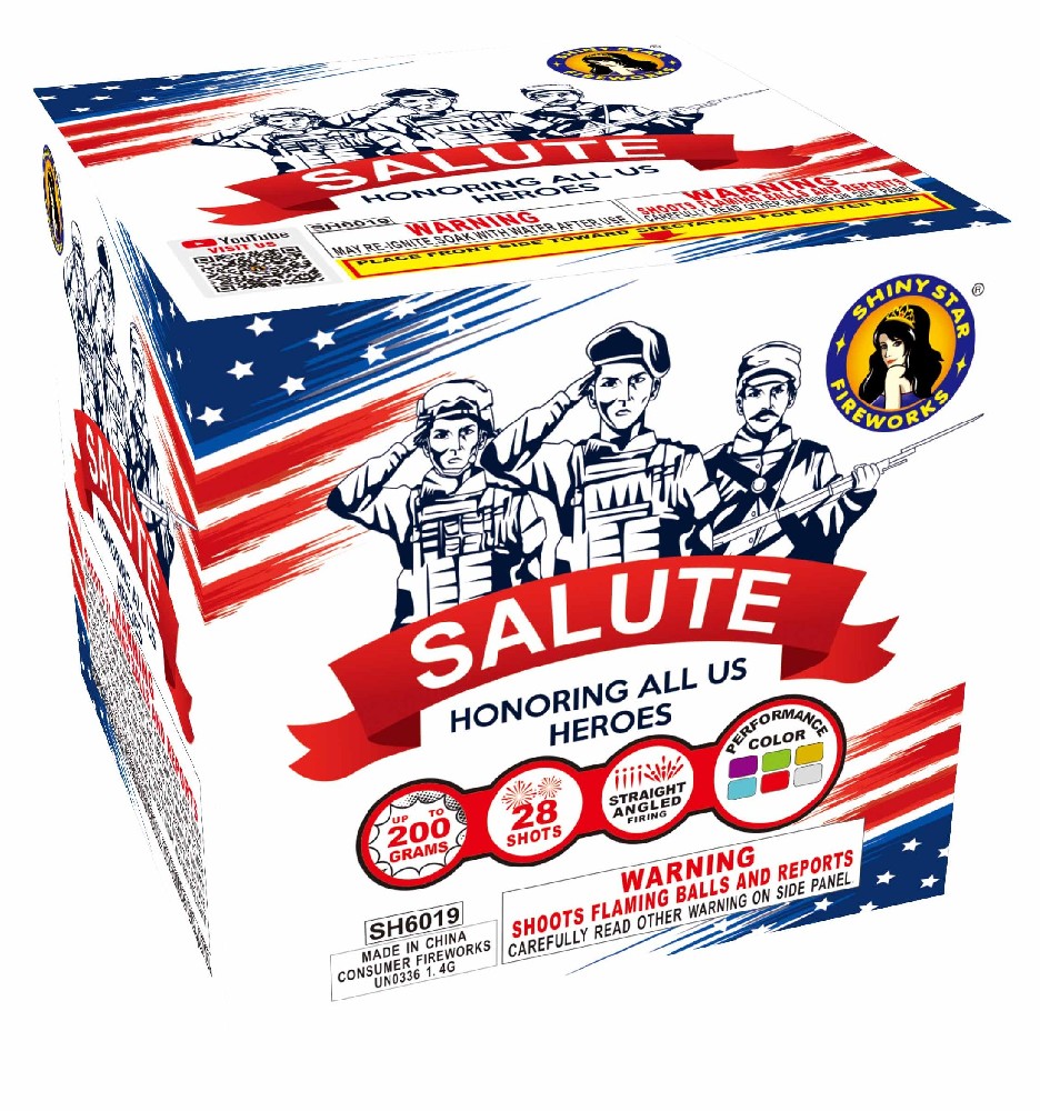SALUTE