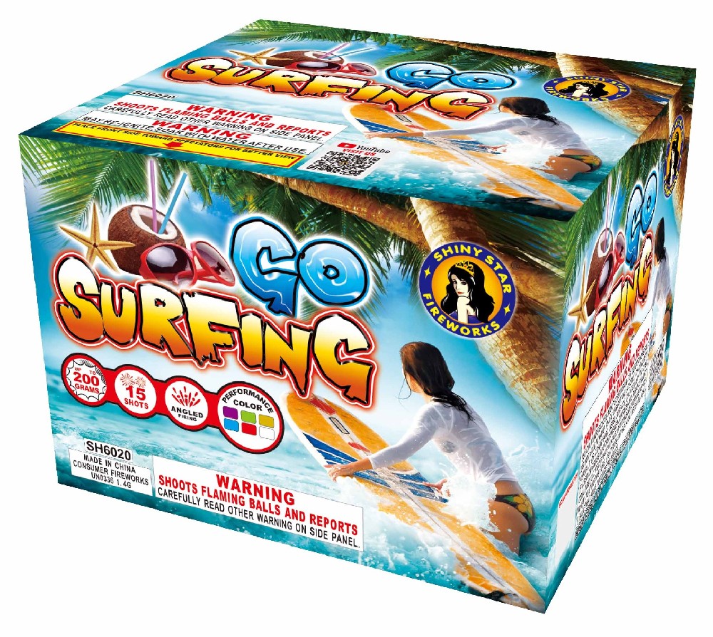 GO SURFING