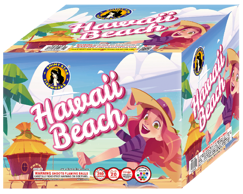 HAWAII BEACH