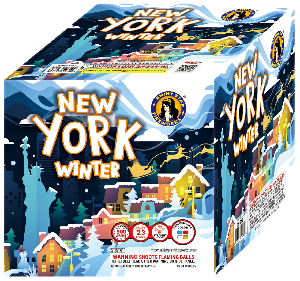 NEW YORK WINTER